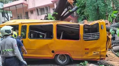 After Mumbai school bus tragedy, Thane mayor orders survey of dangerous trees