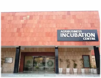 Agri-startups to gain as HAU’s incubator joins Startup Haryana