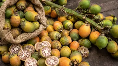 Areca consignments detained in Maharashtra: Growers, traders worried