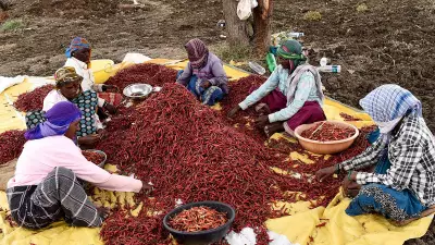 Byadagi: The Indian Town That Lives and Breathes Chillies