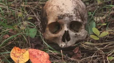 Cannibalism Causes Population Collapse, New Study Finds
