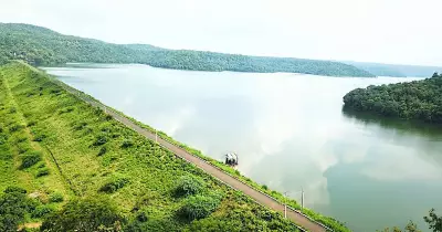 Chincholi Wildlife Sanctuary's Green Promise: A Conservation Milestone