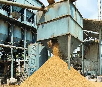 Deadline for custom-milled rice expires in Haryana, over 6 LMT pending