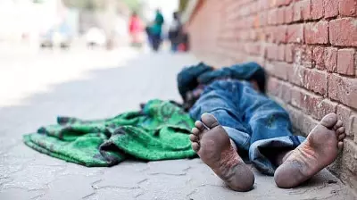 Delhi HC: Sleeping on Pavement Not Negligence