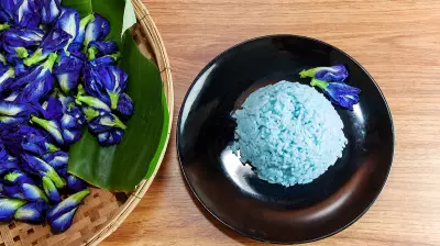 Edible Flowers: Transforming India's Food and Cocktail Culture