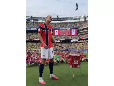 Google adds Viking Row animation for Erling Haaland searches during FIFA World Cup 2026