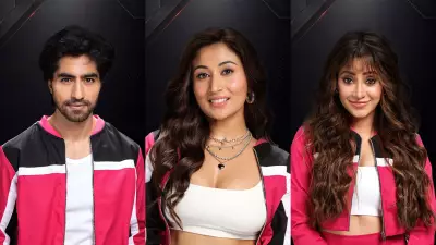 Harshad Chopda Confronts Shreya Kalra After Shivangi Joshi Cries on Lock Upp 2