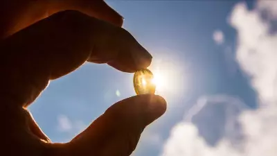India Gets First Vegan Vitamin D3 Supplement, Boosts Plant-Based Health