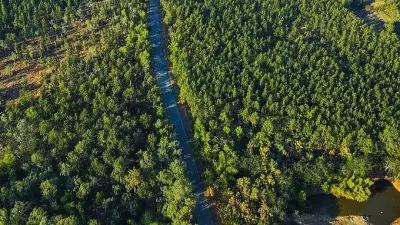 Jharkhand: The Land of Forest – A Green Gem of India