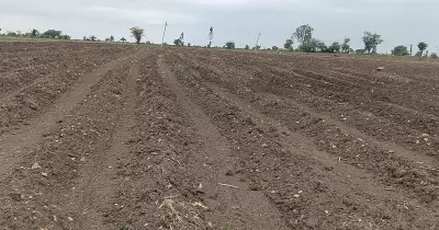 Kalyana Karnataka faces drought as rainfall deficit hits 36%