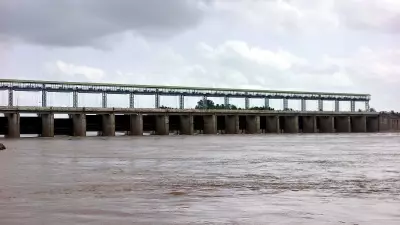 Karnataka: Almatti Dam Logs Nearly 11 TMCft Water in Single Day