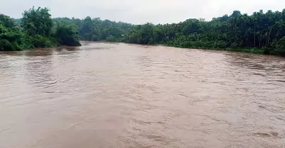 Karnataka: Rain, Winds Cause Damage Across Malnad Region