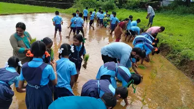 Karnataka School Offers Hands-On Paddy Farming Experience to Students