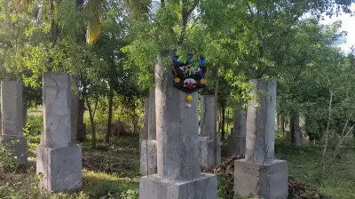 Kunigal farmer uses cement rings to protect sandalwood trees in Tumakuru