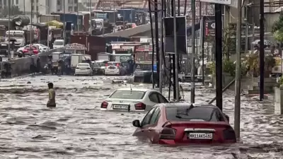 Maharashtra Floods: Thane-Palghar Hit by Heavy Rains, Wall Collapses Reported