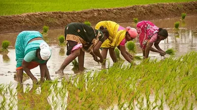 Maharashtra Women Farmers Law to Transform Agricultural Sector