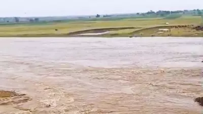Moderate Rain Continues Across Karnataka's Dharwad District