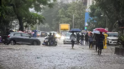 Mumbai Rains: Schools Closed, Waterlogging Disrupts Local Trains