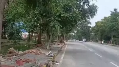 Mysuru environmentalists meet over 350 tree felling for expressway