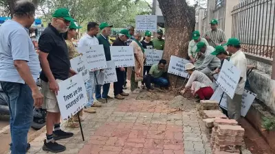 Mysuru Seeks to Cut 11,000 Trees on Private Land in 4 Years Amid Heat Spike