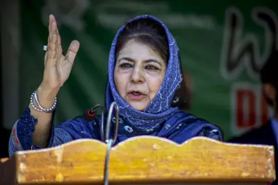NC Demands Apology from Mehbooba Mufti Over Remarks on Kashmiri Protesters