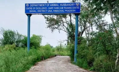 No bidders stall Rs 44-crore dairy centre in Una, cost escalates