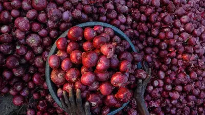 No Immediate Onion Shortage in India, Says HPEA Amid Export Slump