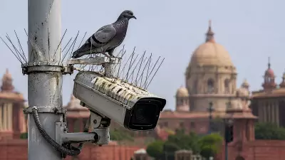 Pigeon droppings blind Delhi police CCTV cameras, spikes deployed