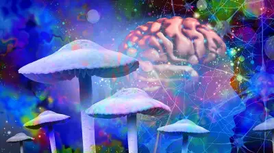 Psychedelics for ADHD? Science Shows Little Evidence
