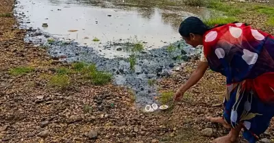 Rain in Western Ghats Brings Cheer to North Interior Karnataka Farmers