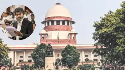 SC on DMK plea against Vijay: Can't regulate CM's visit