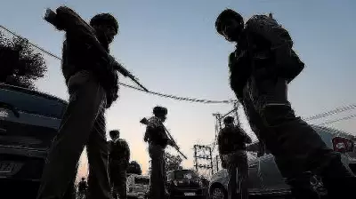 Search Operation in Jammu-Kashmir's Shopian Over Terrorist Presence Inputs