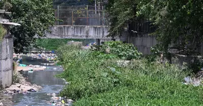 Silt and Garbage Choke Bengaluru's Halasuru Drain Despite Civic Body's Clean-Up Claims