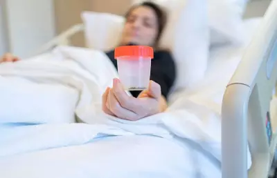 Study Finds 1 in 5 Adults in Spiti Valley Suffer from Gallbladder Stones
