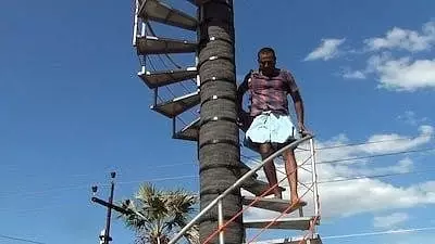 Tamil Nadu Man Builds Iron Staircase Around 55-Foot Palmyra Tree to Beat Labour Shortage