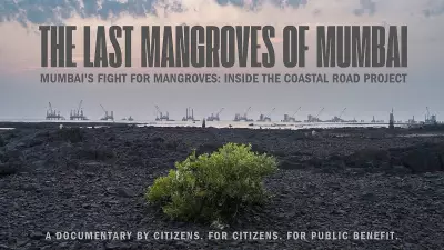 The Last Mangroves of Mumbai: Documentary Gives Voice to Common People