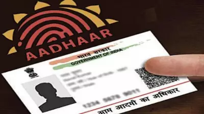 UIDAI Launches Free Email Update Service via Aadhaar App; 250K+ Use It in 2 Days