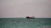 15 Fertilizer Vessels Cross Strait of Hormuz Safely: Govt