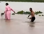900 Snakes Escape Chinese Farm After Flood Damage, Including Cobras