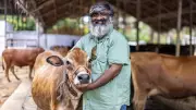 A Techie's Journey from Software to Soil: Sustainable Farming