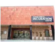 Agri-startups to gain as HAU’s incubator joins Startup Haryana