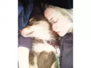 Amanda Seyfried Mourns Beloved Dog Finn Who Died at 16