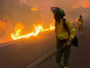 At least 11 dead, 19 missing, 600 displaced in southern Spain wildfire
