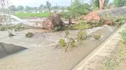 Canal breach floods 50 acres in Punjab's Abohar, farmers seek compensation