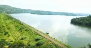 Chincholi Wildlife Sanctuary: Kalyana Karnataka's Hidden 'Mini Malnad'