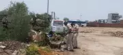 CM Flying Squad Raids Haryana Roadways Workshop in Tree-Felling Case