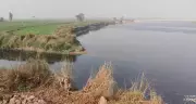 DDA Launches First Stakeholder Consultation for Yamuna Floodplain Restoration