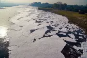 DDA Launches 'Yamuna Dialogues' for Floodplain Restoration in Delhi