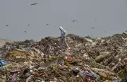 Delhi Mayor Briefs Amit Shah: Okhla, Bhalswa Landfills to Close by December 2026