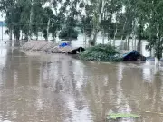 Desilting of Ravi River Intensified to Reduce Flood Risk in Border Districts